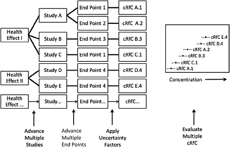 FIGURE S-1 Illustration of potential process for identifying an RfC. Health effects associated with exposure to the chemical are identified. For each health effect, studies that meet inclusion criteria are advanced. From each study, one or more health end points that meet specified criteria are advanced, and a point of departure is identified or derived. Uncertainty factors are selected and applied to the point of departure to yield a candidate RfC (cRfC). All cRfCs are evaluated together with the aid of graphic displays that incorporate selected information relevant to the database and to the decision to be made. A final RfC is selected from the distribution after consideration of all critical data that meet the inclusion criteria.