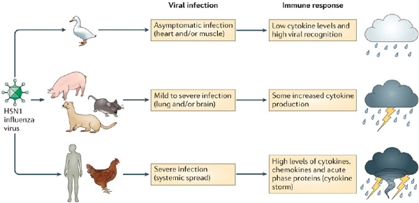 Workshop Overview | Emerging Viral Diseases: The One Health Connection:  Workshop Summary |The National Academies Press
