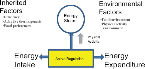The energy balance: physical activity and food
