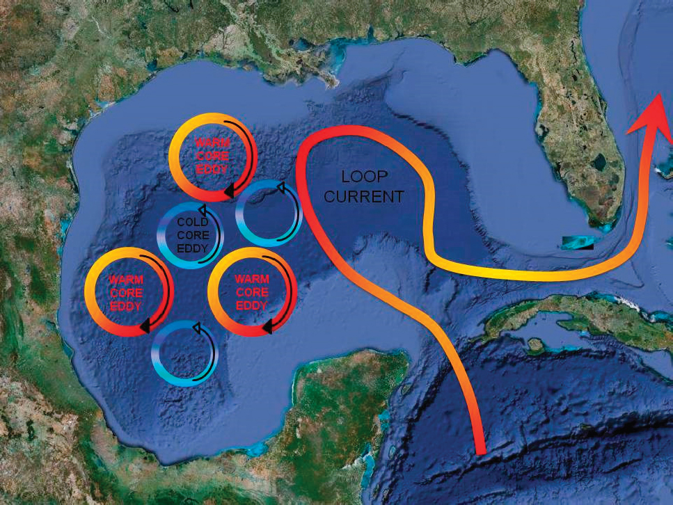 Течение будней. Гольфстрим течение в мексиканском заливе. Течения в мексиканском заливе. Гольфстрим нефть. Течение Гольфстрим на карте мексиканский залив.