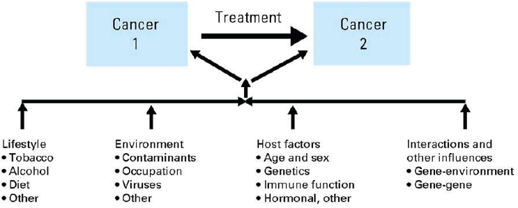 4 Diagnosis, Staging, and Treatment of Cancer, Diagnosing and Treating  Adult Cancers and Associated Impairments