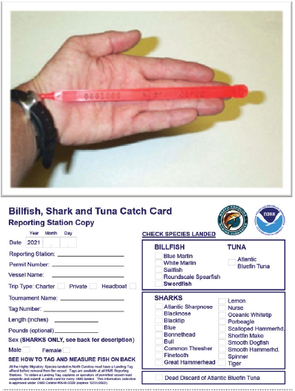 Fishing Regulations Mini Card - Louisiana [Card-TB-Fish-SM-LA