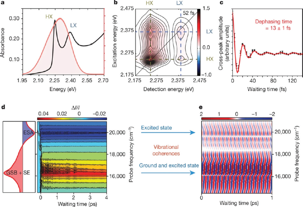 3 Measurement and Control of Molecular Quantum Systems | Advancing 