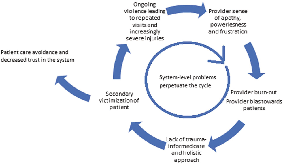 Health care cycle leading to avoidance and distrust by patients seeking care for intimate partner violence