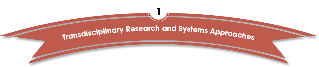 Transdisciplinary Research and Systems Approaches