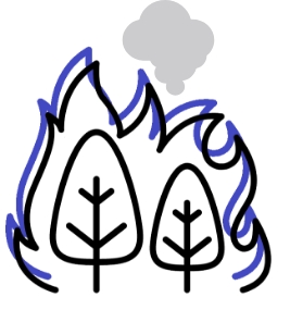 wildfire icon