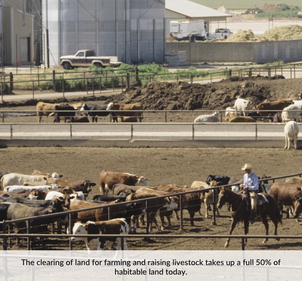 The clearing of land for farming and raising livestock takes up a full 50% of habitable land today.