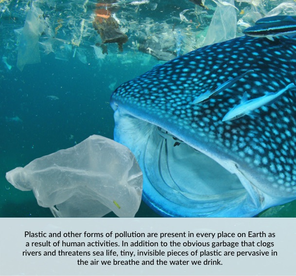 Plastic and other forms of pollution are present in every place on Earth as a result of human activities. In addition to the obvious garbage that clogs rivers and threatens sea life, tiny, invisible pieces of plastic are pervasive in the air we breathe and the water we drink. 
