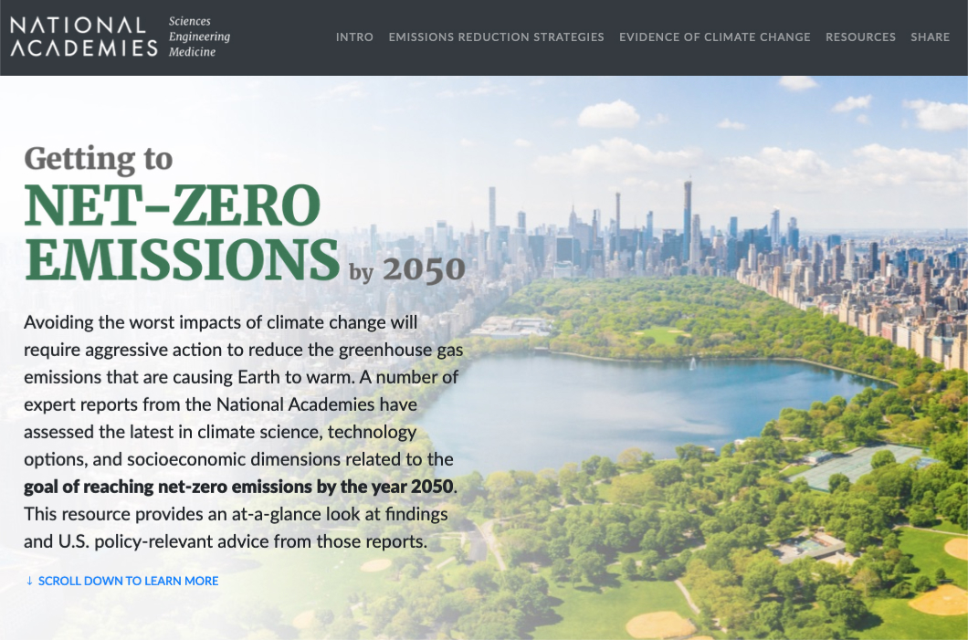 thumbnail of website: Net Zero Emissions by 2050