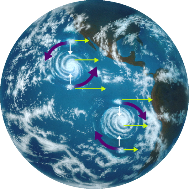 coriolis effect hurricanes