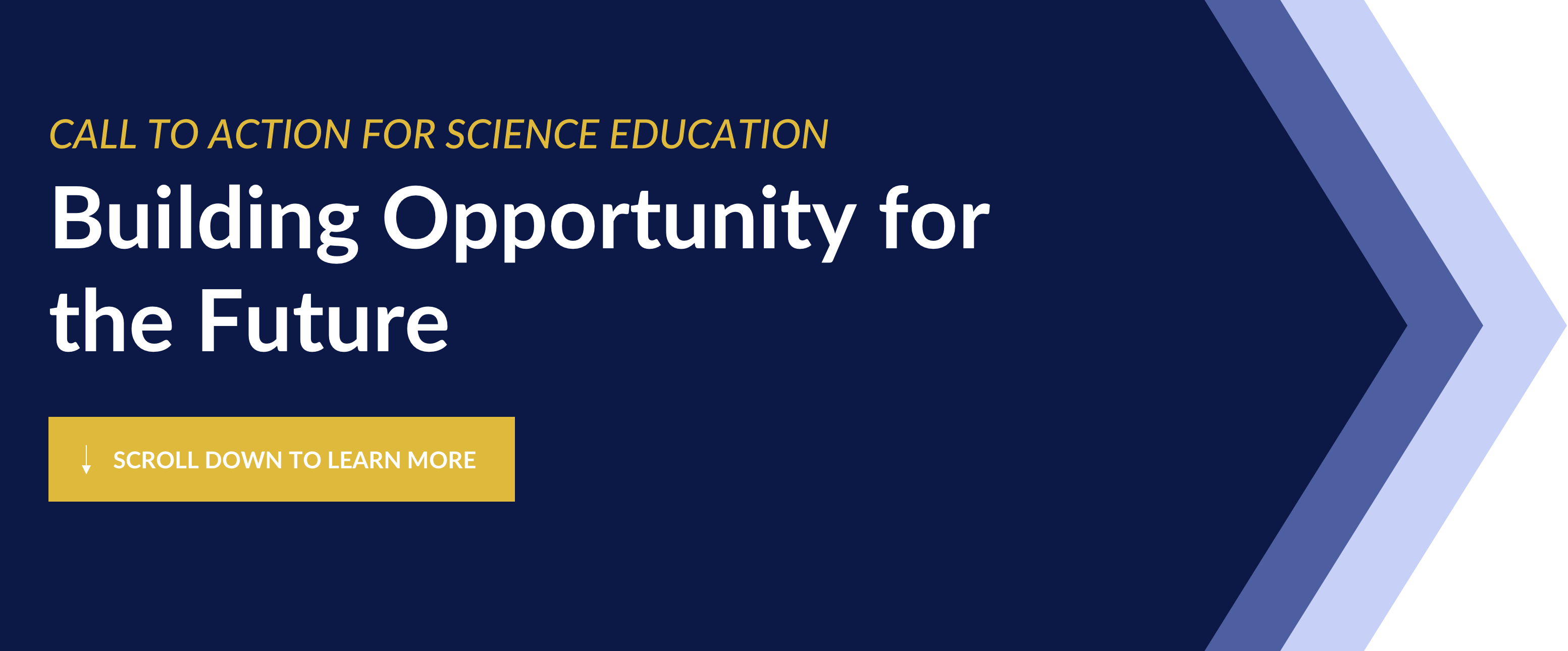 Title: Call to Action for Science Education Building Opportunity for the Future