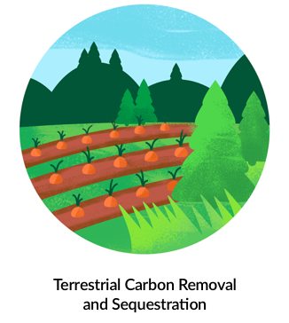 Terrestrial Carbon Removal and Sequestration