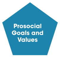 Prosocial goals and values